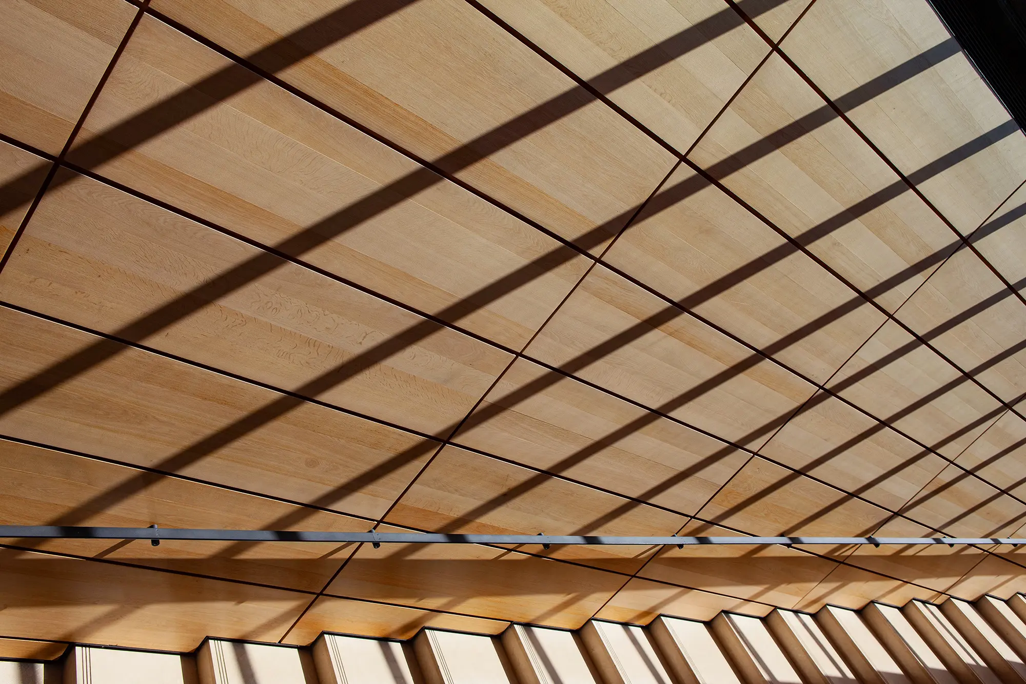 Acoustic Ceiling background